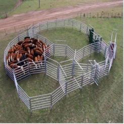 Cattle Fence &amp; Sheep Fence