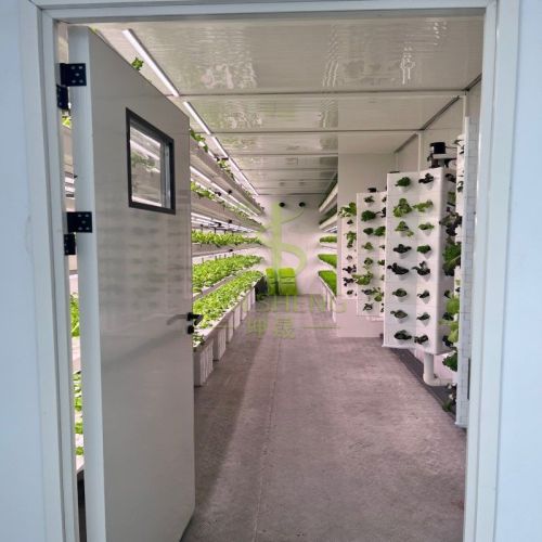 Vegetable Container Farm