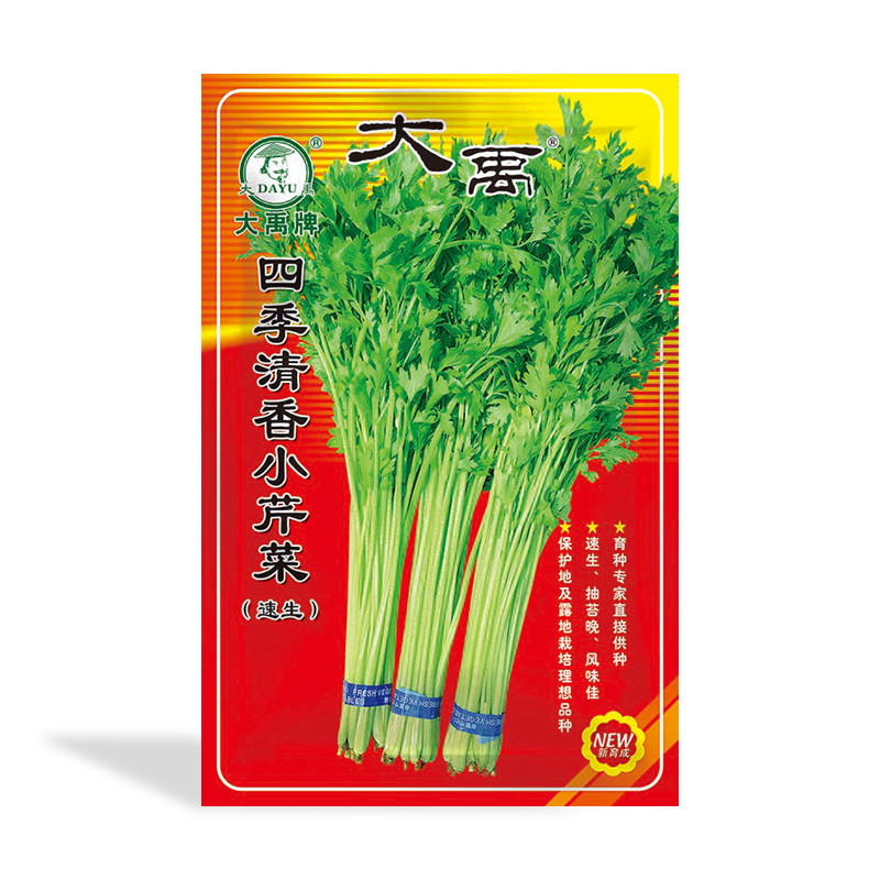 Fast-growing fragrancy celery