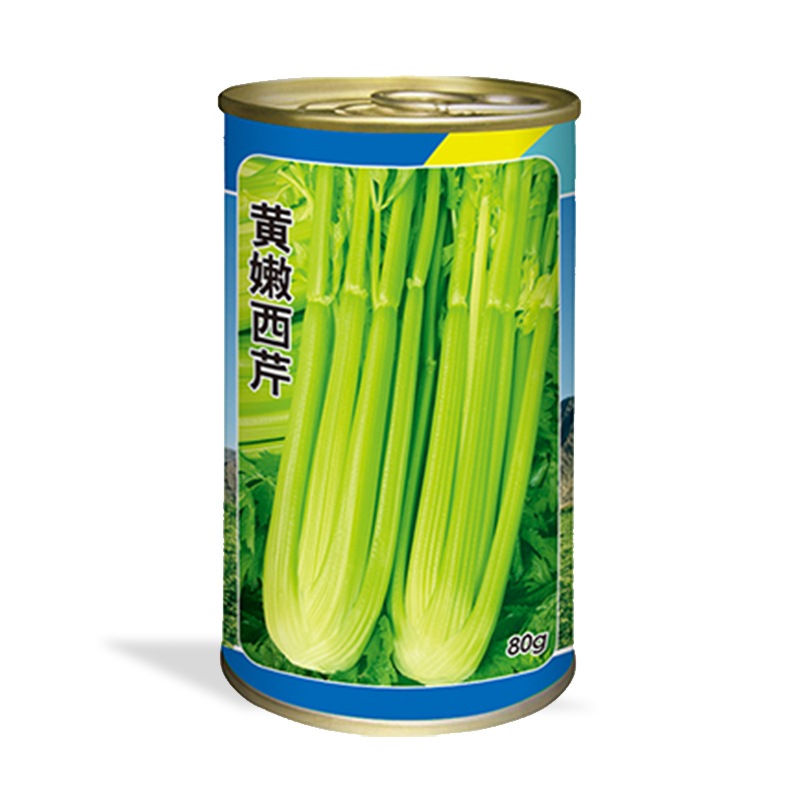 Large sparse plant celery-huang neng celery