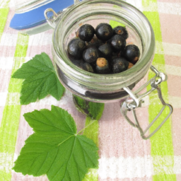 black currant substitute
