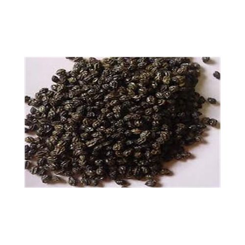 Good Quality Papaya Seed for Sale
