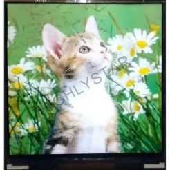 TFT LCD
